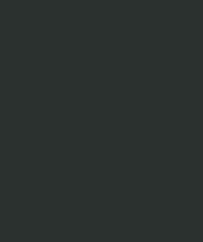 RAL 9005: Deep black